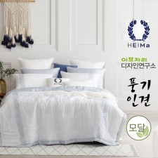 스완 / 에스닉 (3점 세트)